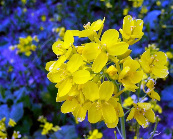 1586768265516750.jpg 微信圖片_20200413094344_副本.jpg