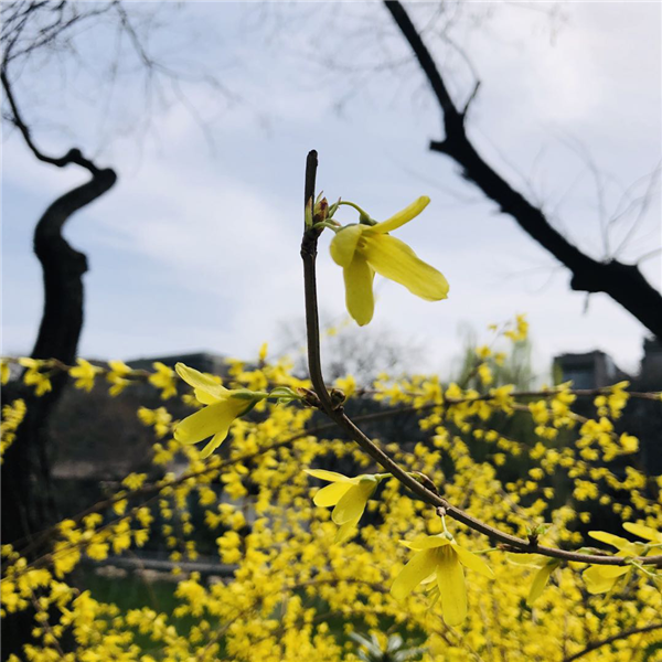 1587003659521437.png 圖片2_副本.png