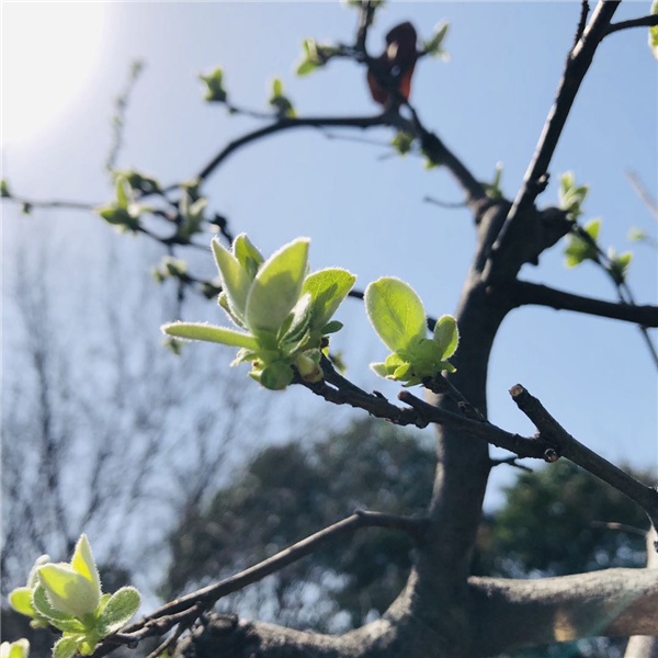 1587003825528289.png 圖片6_副本.png