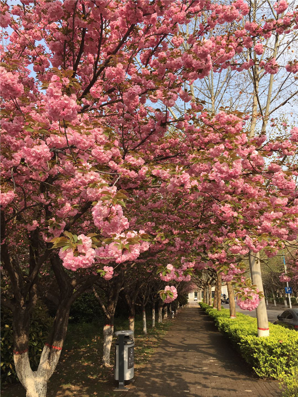 1587352251870642.png 04_副本.png