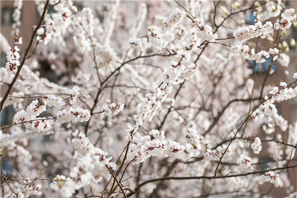 1587471381869509.jpg 5 (2)_副本.jpg