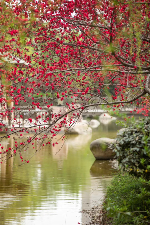 1587471424146436.jpg 6 (3)_副本.jpg