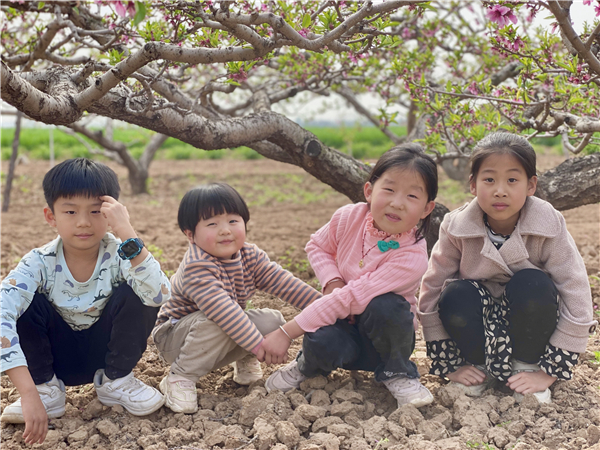 1587471607632609.jpg 12 (2)_副本.jpg