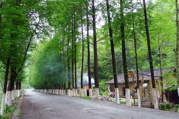 1587477410913677.jpg 1_副本.jpg