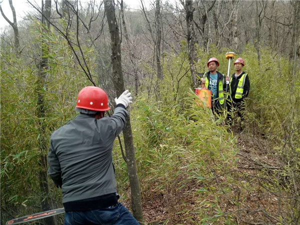 1587477448853082.jpg 3_副本.jpg