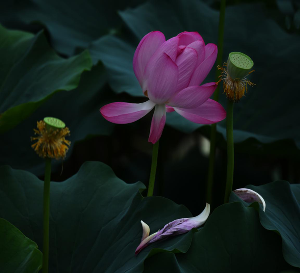 1591950845987673.png 圖片10_副本.png