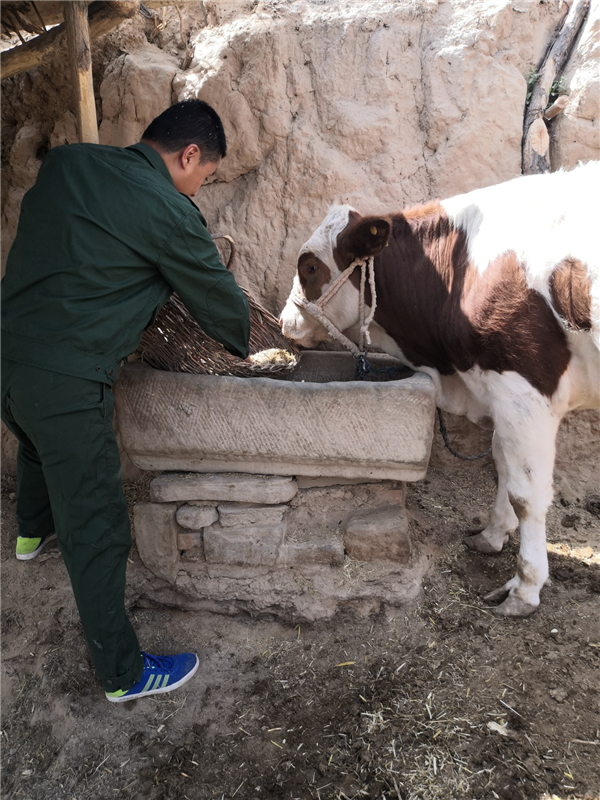 1596162163700217.png 圖片17.png