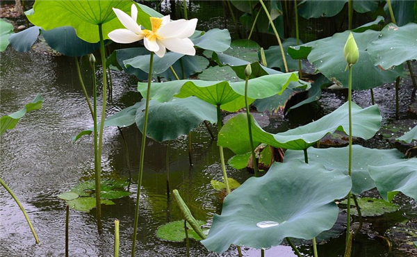 1625736788964174.jpg 圖片1_副本.jpg