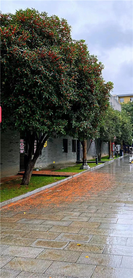 1663204754689306.jpg 圖片1_副本.jpg