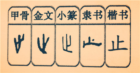 1677720890407932.jpg 圖片2.jpg